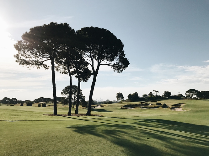 3152F609-6BCE-4165-A551-9A57CACD9E1F