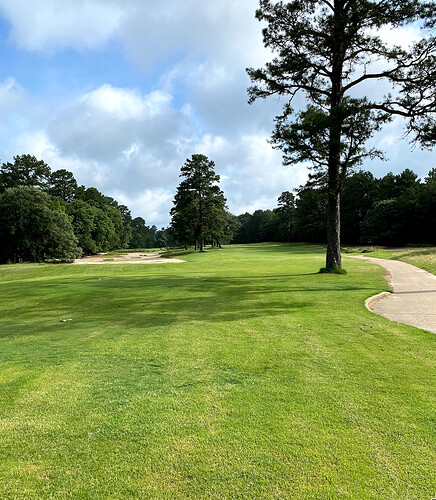 Cursor_and_IMG_5773_jpg