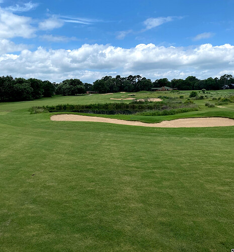 Cursor_and_IMG_5781_jpg