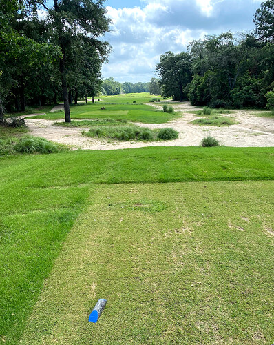 Cursor_and_IMG_5776_jpg