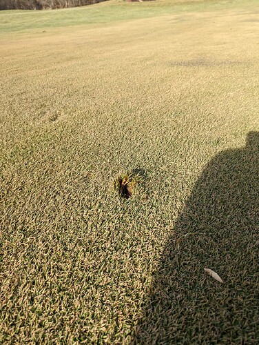 PXL_20211213_190055247