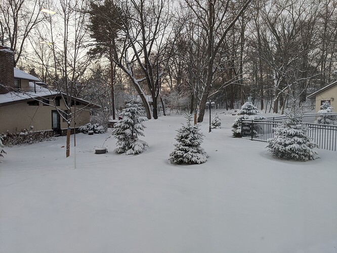 PXL_20201111_125911702