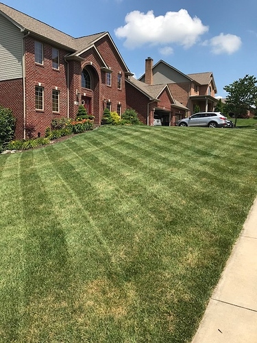 yard1