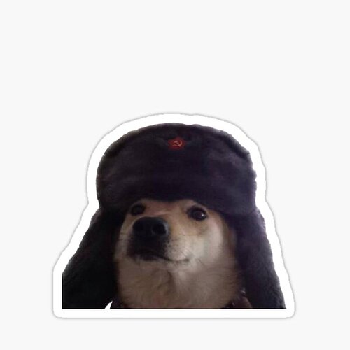 st,small,507x507-pad,600x600,f8f8f8.u12