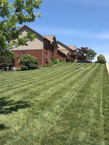 yard2