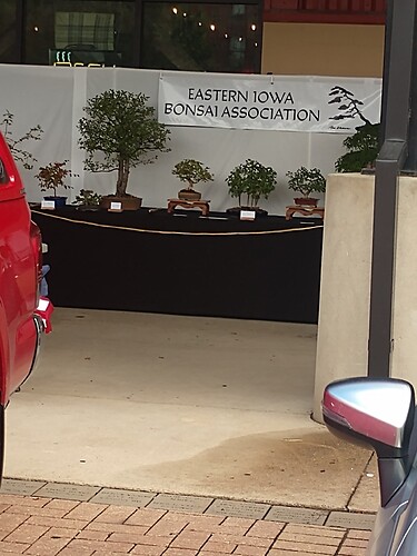 IMG_20220820_121140917