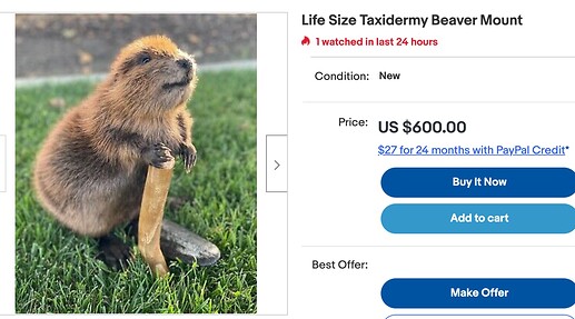 Screen Shot 2021-11-23 at 4.41.32 PM