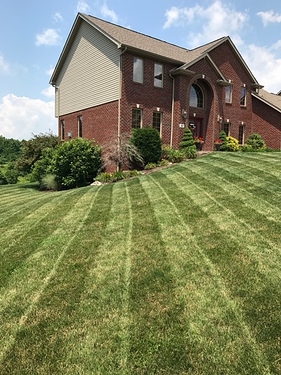 yard3