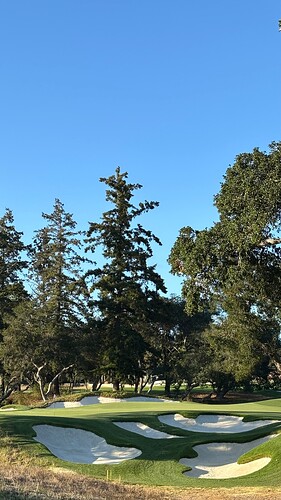 15tee