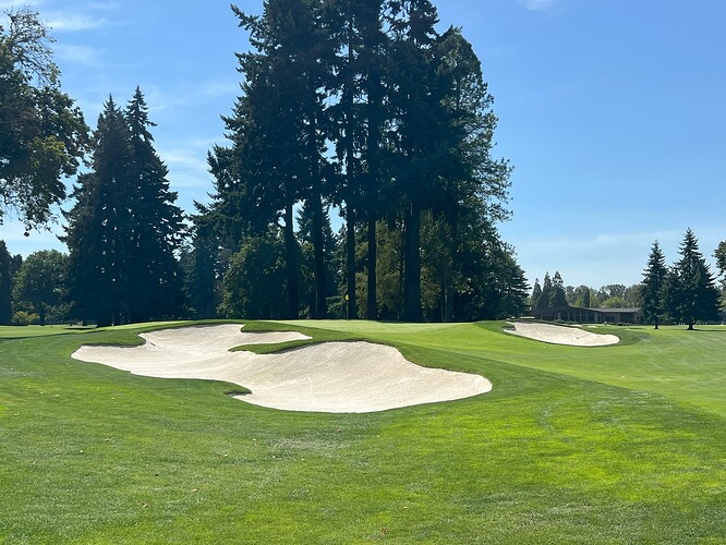 Hole 8 Green Site August 2025