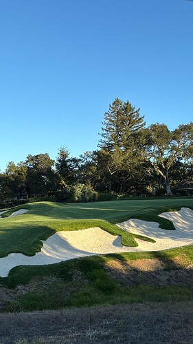 16green