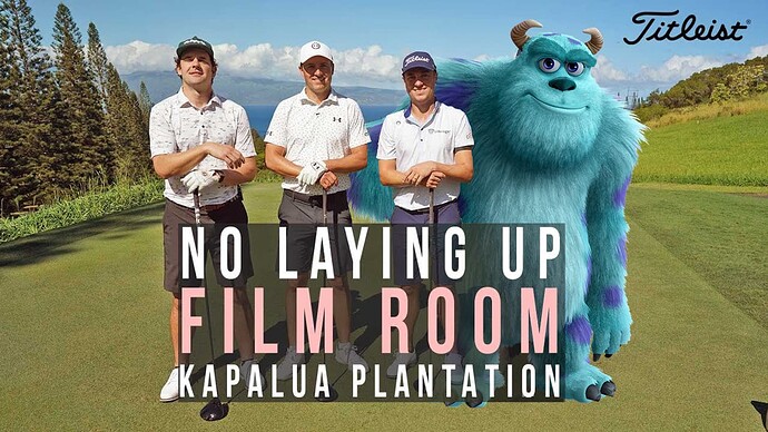 Kapalua Sully