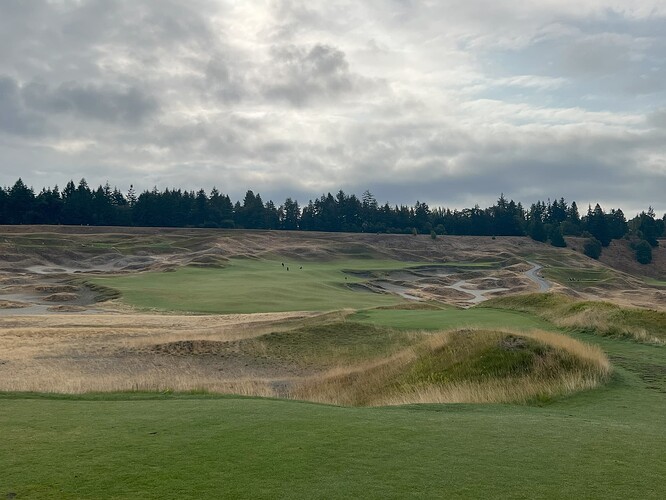 Hole 4 August 2025