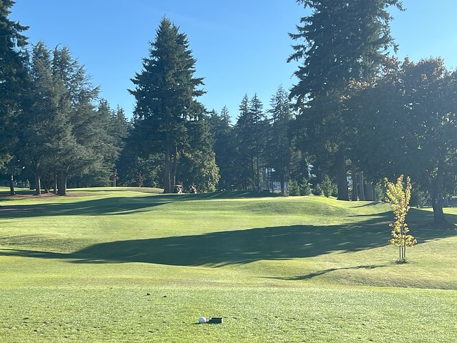 Hole 6 August 2025