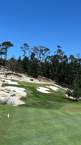 7tee