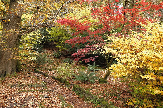 D20EDE56-4F74-48ED-99AD-CC8CC40A9B04-5762-000001FC57346406