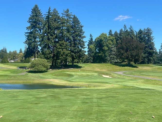 Hole 11 August 2025