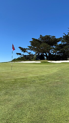 8green