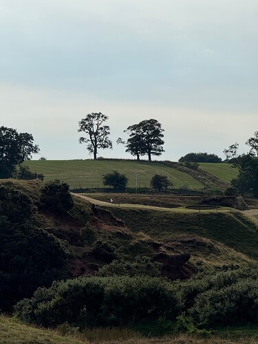 IMG_5916