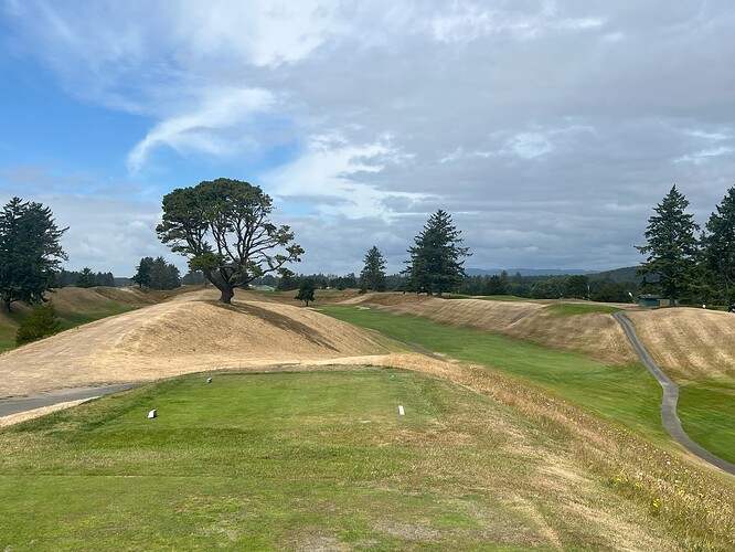 Hole 16 August 2025