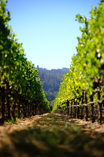 FF403906-6483-4F92-B5E4-CDDB4A291DDD-17751-00000E7F1ACF2201