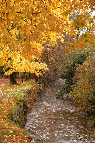 3DCBFABB-A5E3-4603-9C95-51E778681472-1452-0000003235F9DC32