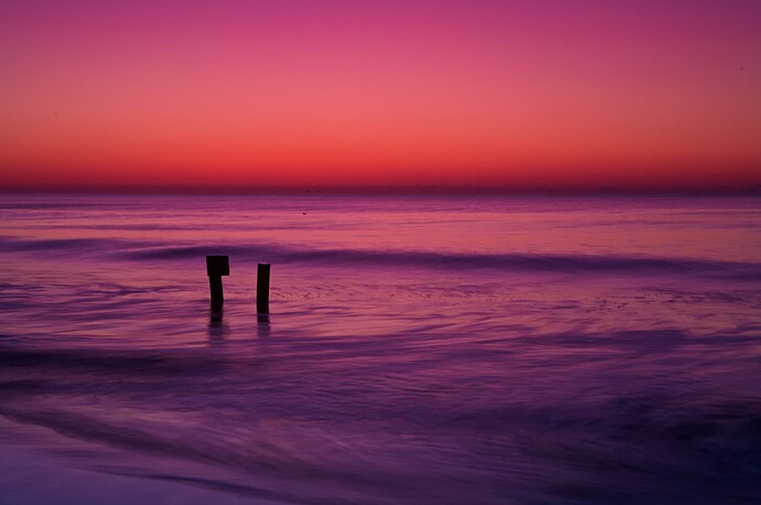 Myrtle Beach 65