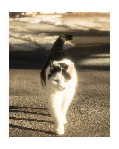 Untitled (Instagram Post (45)) - 15