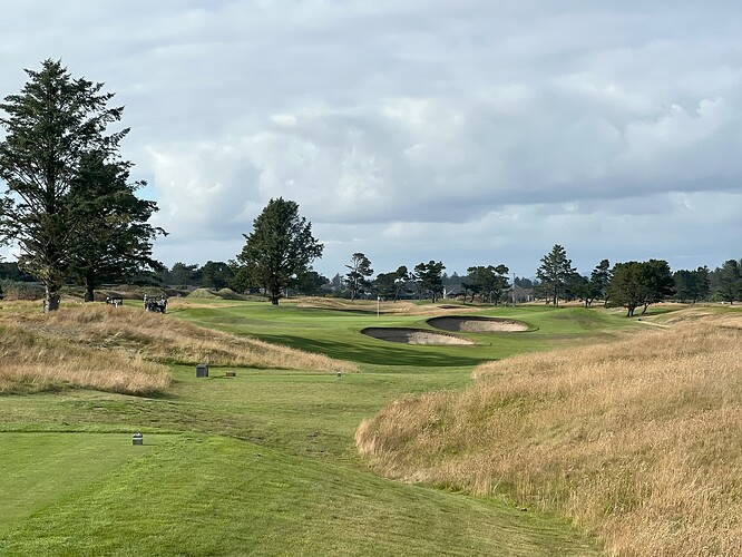 Hole 11 August 2025