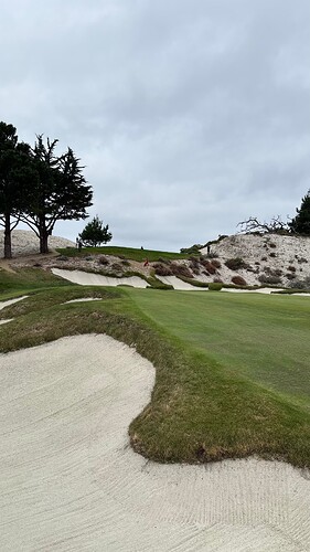 6green