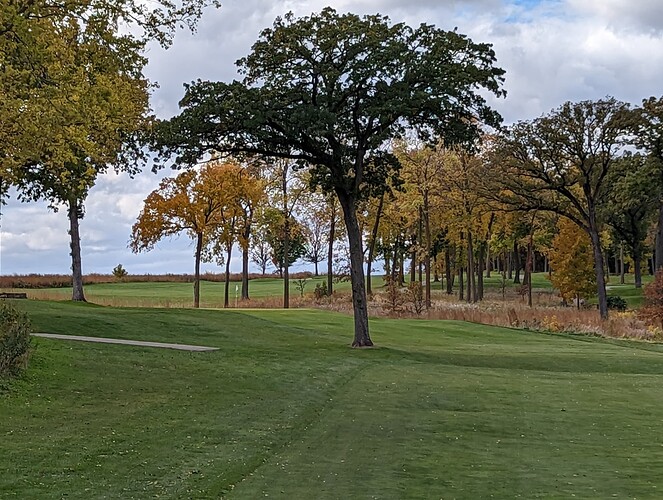 PXL_20221016_174318914