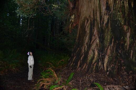 859433_10200524772382679_1974860948_o