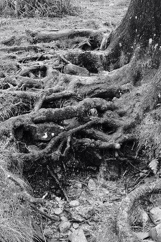 8C5AEE89-67EB-4063-91F2-30795105BF67-2979-0000018889F944E1