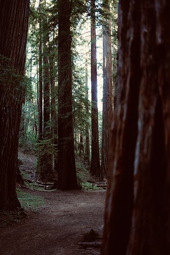 D9197965-2245-4141-8135-CC5FEEEE4D47-64476-00002FA5B6B04766