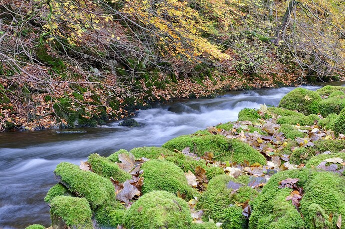 5AA2E60B-1F5E-44EE-B4A8-E47AB775FEC8-2979-000001888022A4DC