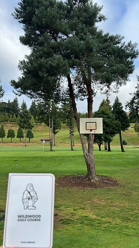 Hole 7 + 8 Basketball Hoop