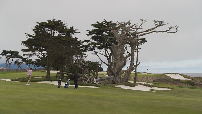 Cypress 9