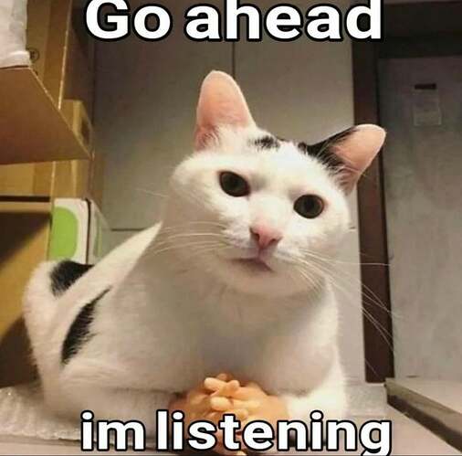 please-im-listening-v0-fc4x6a195rtb1