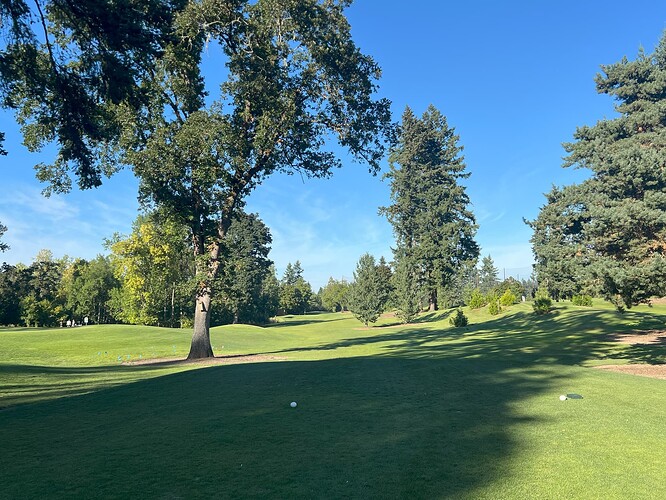 Hole 5 August 2025