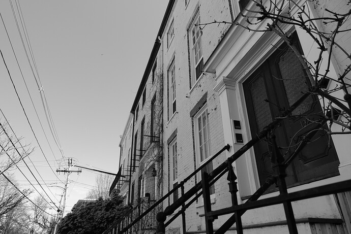 DSC00453