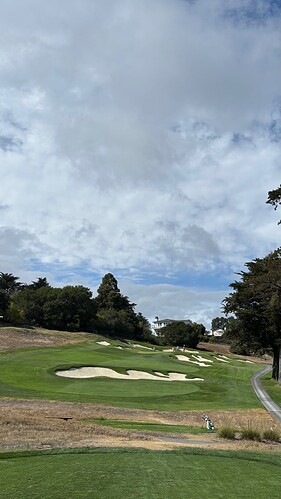 3tee