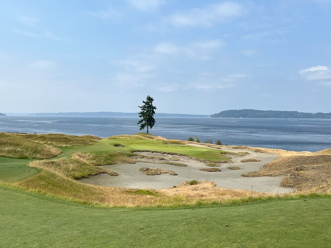 Hole 15 August 2025