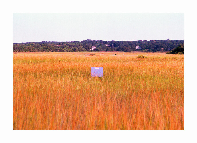 IMG_7967