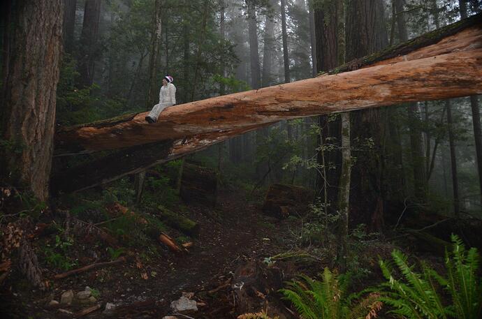 857036_10200524769462606_714770206_o