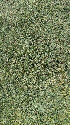 cpcturf