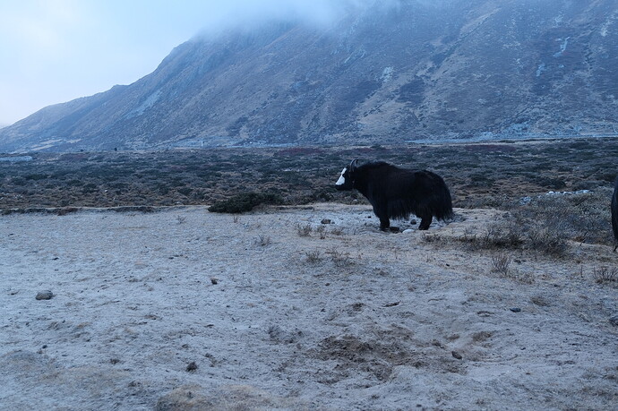 BE032EF6-1A24-4AE5-B5D4-5A9B56AD4009-6406-0000044642D92790