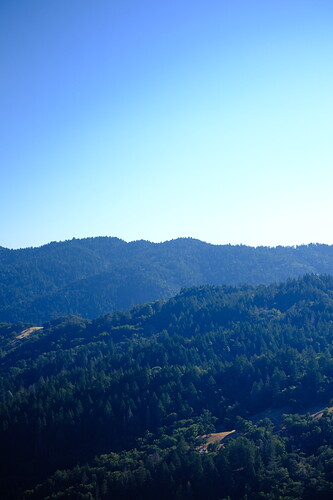 29074FA6-2AD9-4DA1-812C-9CF2D7A0F1CD-64476-00002FA5A4C0F529