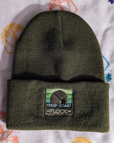 PXL_20230121_051726706.MP