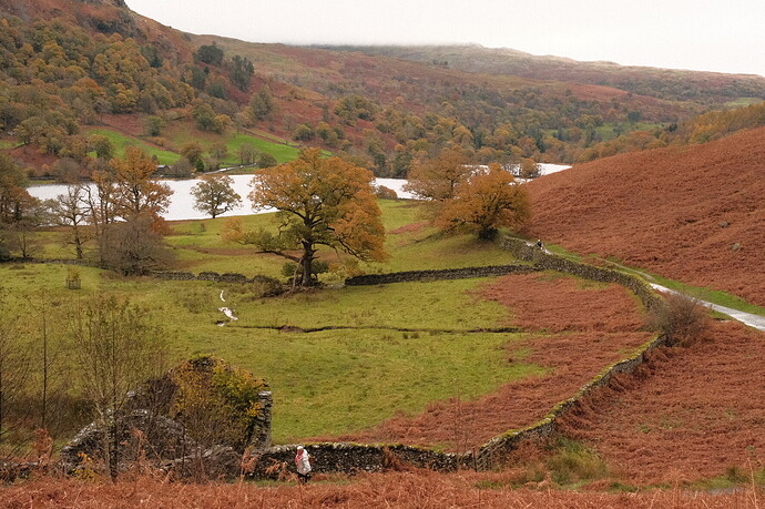 A19C1000-5A7D-4BD3-95DC-C833EE2A3E6B-2979-0000018883FAC637