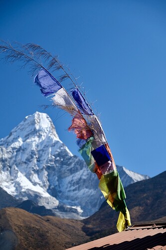 E8D8C117-6C86-4029-AB7C-6B9BA488399D-4157-00000289B2406011